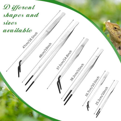 2 Pcs Extra Long Stainless Steel Reptile Feeding Tongs with Rubber Tip 15 Inch Bearded Dragon Aquarium Straight and Curved Long Tweezer Terrarium Feeder Tool for Tank (Silver / 15 Inch)
