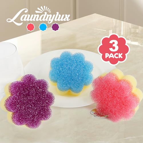 Scrub Sponge Dual (Flower)
