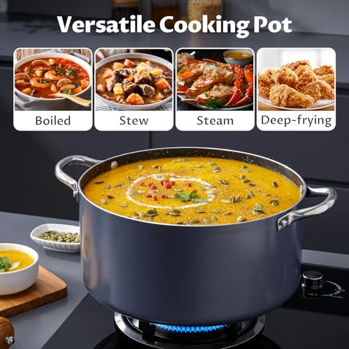 10 Quart Nonstick Stock Pot with Lid (10 Quarts)