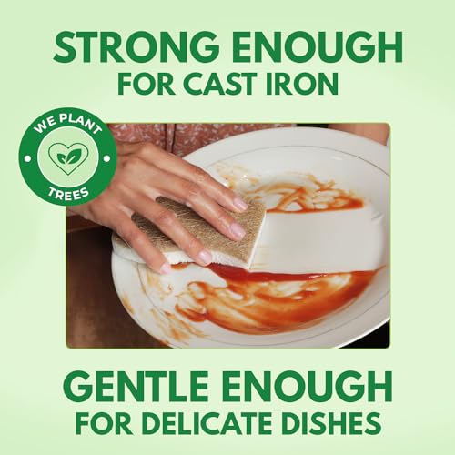 Natural Kitchen Sponges (6 Pack)