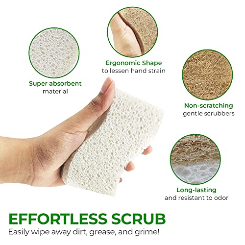 Natural Kitchen Sponges (6 Pack)