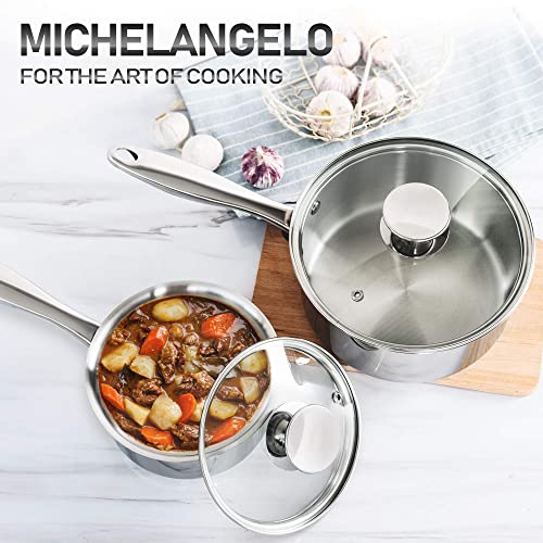 Stainless Steel Saucepan Set 1Qt & 2Qt (1QT+2QT)
