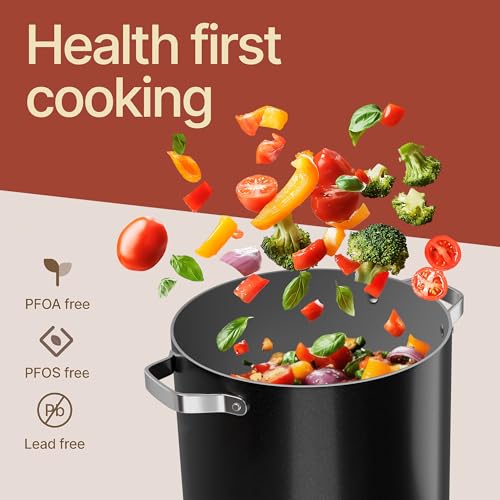 Bakken 16 Quart Ceramic Coated Stock Pot with Lid (Black / 16 Quarts)