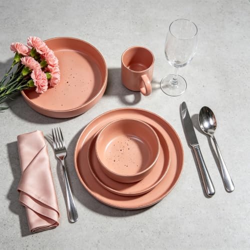HomeVSS 20 Piece Dinnerware Set (Service for 4 - 20pc Set / Matte Rose)