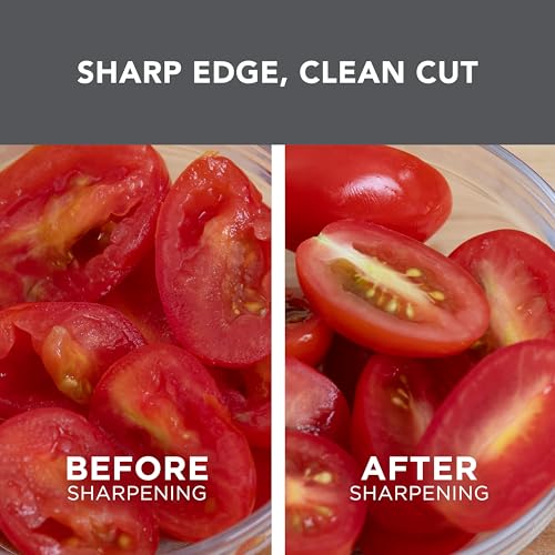 Chef’sChoice 15XV EdgeSelect Professional Electric Knife Sharpener with 100 (3-stage)