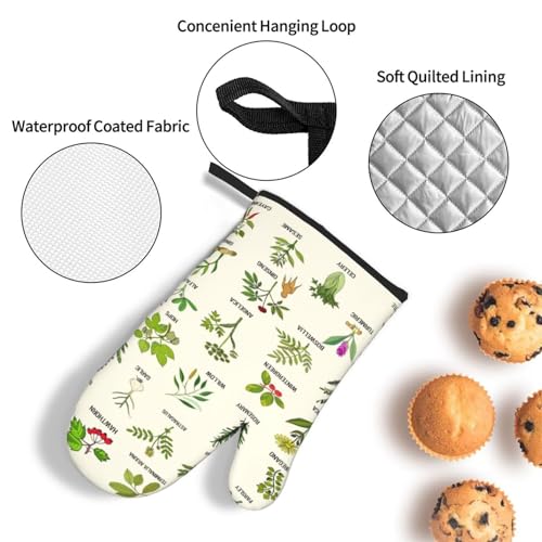 Cute Herbs Botanic Garden Plants Oven Mitts and Pot Holders Sets Heat Resistant for Kitchen BBQ Microwave Baking Grilling Cooks Set of 3 Kitchen Oven Glove (Cute Herbs)
