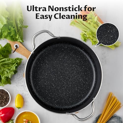 10 Quart Nonstick Stock Pot with Lid (10 Quarts)
