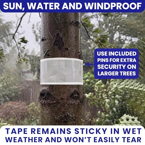 Spotted Lantern Fly Trap for Trees. 3 Sticky Fly Paper Rolls with Pins and Egg Scraper. Bug Tree Tape Wrap Ant Barrier Spotted Lanternfly Killer. Lantern Flies Tape for Trees Glue Insect Barrier