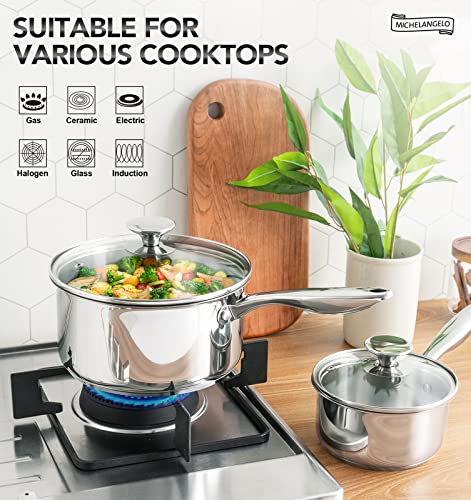 3 Quart Saucepan with Lid (3QT)
