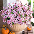 Artificial Flowers for Outdoor Indoor Garden Home Decoration (Pink)