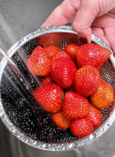 Endurance Kitchen Collection Colander Strainer (Berry)