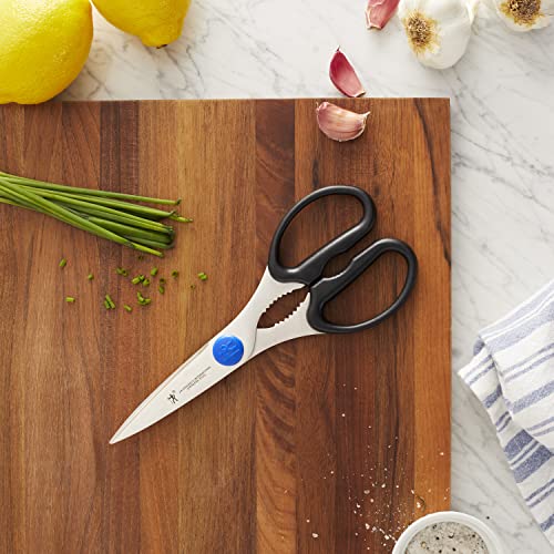 Kitchen Scissors (Take Apart)
