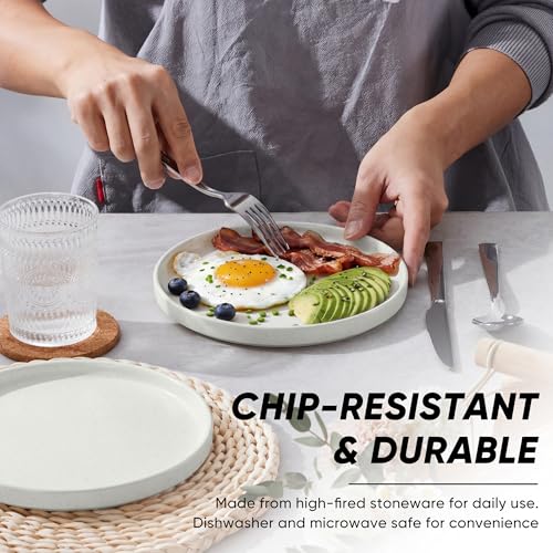 7.9 Inch Ceramic Dinner Plates (Speckled White / 7.9'')