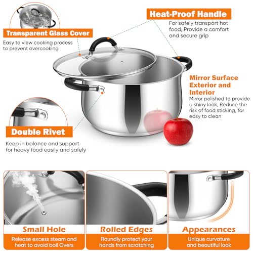 8 Quart Stainless Steel Stock Pot (8 Quarts)