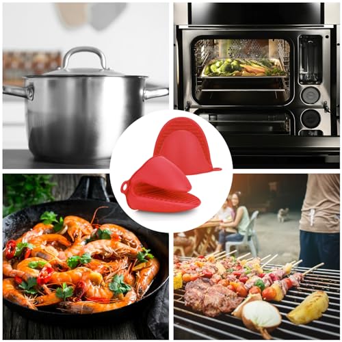 2 Pairs Oven Mitts Heat Resistant (2 Pairs)