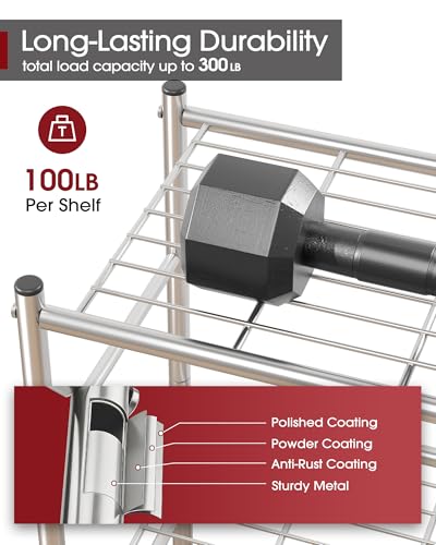 Storage Shelves (Silver / 18.0W x 12.0D x 30.0H (3T))