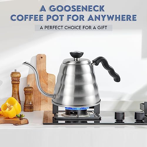 Stainless Steel Gooseneck Kettle (1.3 Quarts)