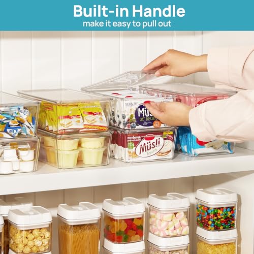 2pcs Clear Stackable Storage Bins with Lids (With Lid)