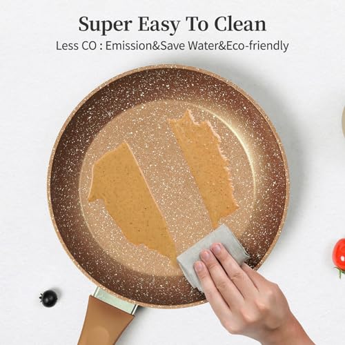 11 Inch Nonstick Frying Pan Small Egg Pan Skillet (11 Inch / Gold)