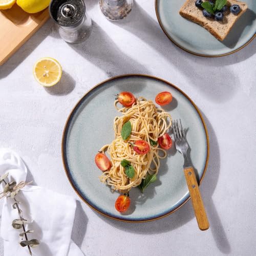 Ceramic Dinner Plates Set of 6 (10.5 Inch for 6 / Reactive-Gray White)