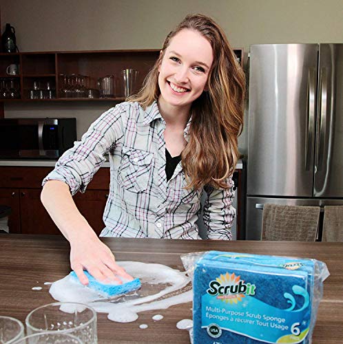 Non Scratch Cleaning Scrub Sponges (6 Count (Pack of 1))