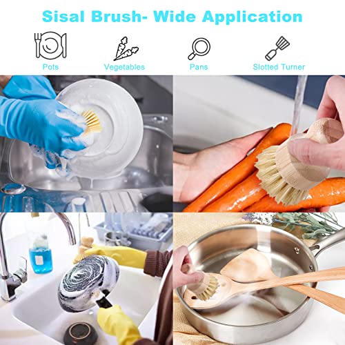 Bamboo Dish Brush Set (2p Palm+2p Sisal)