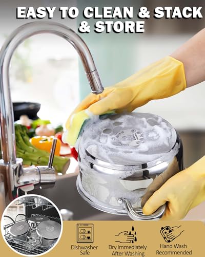 Basics 3 Quart Stainless Steel Stock Pot with Lid (3 Quarts / Silver)
