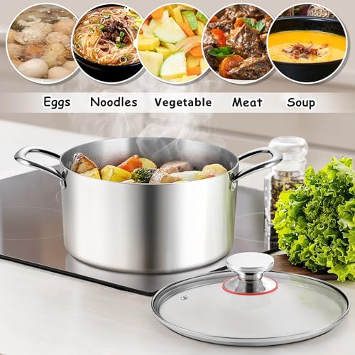 6 Quart Stock Pot (6 Quarts)