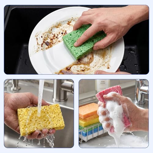 6 Pack Cellulose Scrub Sponges Non (Multicolor / 6 Count (Pack of 1))