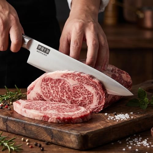 Chef Knife Set with Roll Bag (10PCS Chef Knife Set)