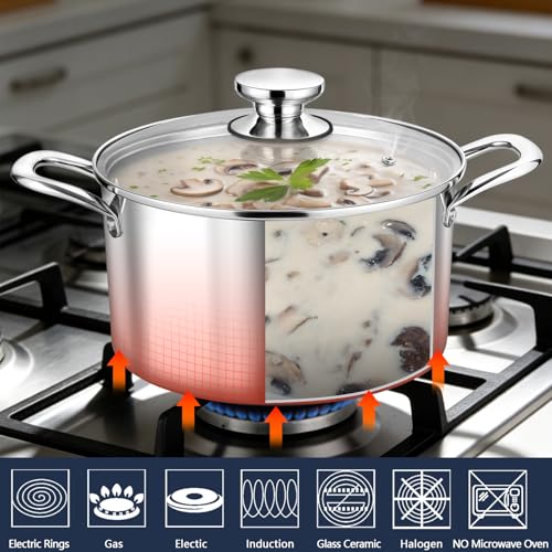 6 Quart Tri Ply Stainless Steel Stock Pot (6 Quarts)