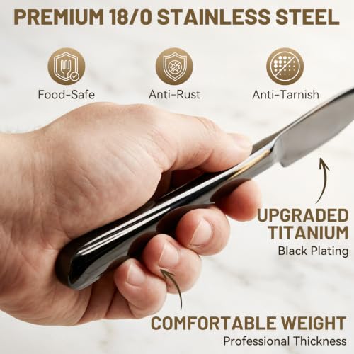 20 PCS NO FADING Black Silverware Set for 4 (Titanium Black / 20 Pack for 4)