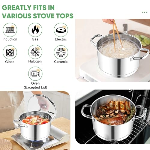 Stainless Steel Stock Pot (4 Quarts)