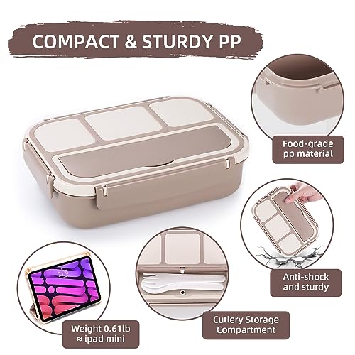 Bento Box Adult Lunch Box (Brown)