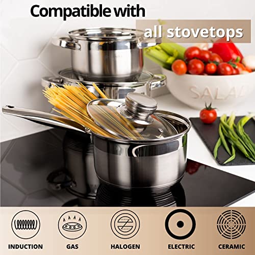 Standard 2 Quart Stainless Steel Stock Pot with Glass Lid (2 Quarts)