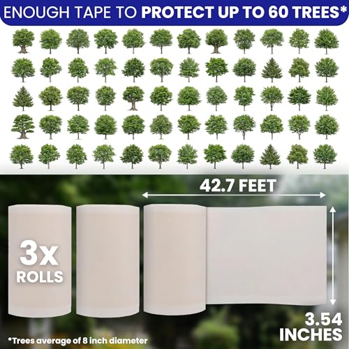 Spotted Lantern Fly Trap for Trees. 3 Sticky Fly Paper Rolls with Pins and Egg Scraper. Bug Tree Tape Wrap Ant Barrier Spotted Lanternfly Killer. Lantern Flies Tape for Trees Glue Insect Barrier
