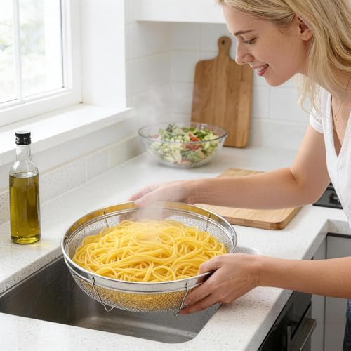 Fine Mesh Strainer for Kitchen (12.2 inch / Flat Shape)