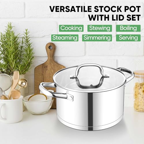 Stainless Steel Stock Pot (4 Quarts)