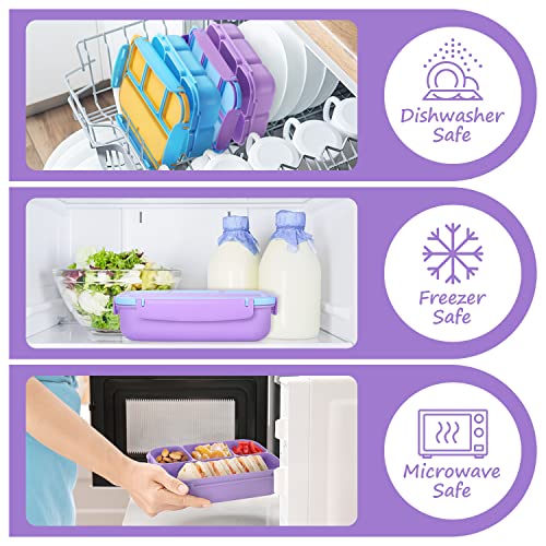 Bento Lunch Box for Kids Girls Boys (Purple)