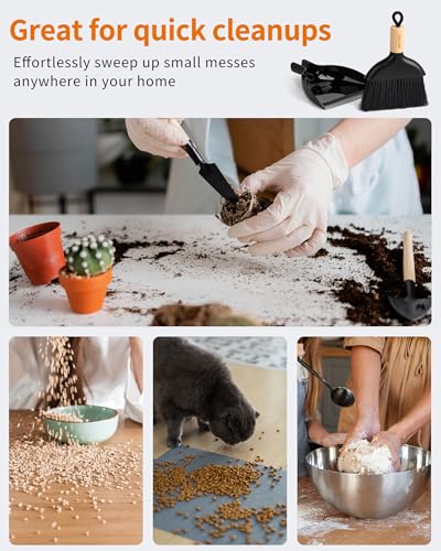 Mini Dustpan and Brush Set (Black)