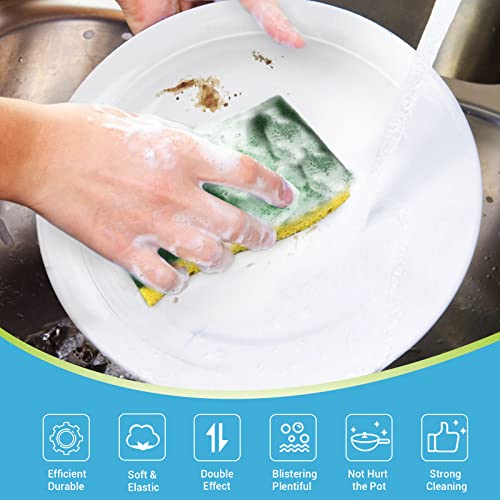 Sponges Kitchen (Green)