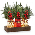 Mason Jar Christmas Table Decor (Red)