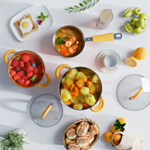 Stainless Steel Cookware Set (Set/7ORA)