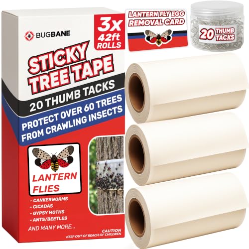 Spotted Lantern Fly Trap for Trees. 3 Sticky Fly Paper Rolls with Pins and Egg Scraper. Bug Tree Tape Wrap Ant Barrier Spotted Lanternfly Killer. Lantern Flies Tape for Trees Glue Insect Barrier