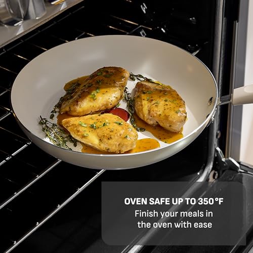 Signature Nonstick Frying Pan (12 Inch)