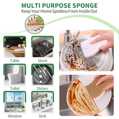 Sponges Kitchen Natural Dish Sponge Plant (Pack of 16)