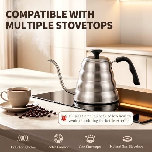Gooseneck Kettle with Thermometer (Silver)