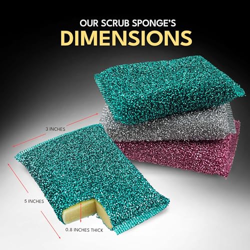 Dish Sponges for Kitchen (Splendid Scrub Sponge 3pk)