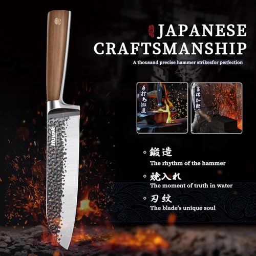 Santoku Knife (7 inches)