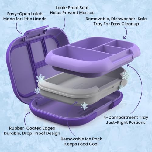 Chill Kids 4 Compartment Bento Box Leakproof Lunch Box (Purple)